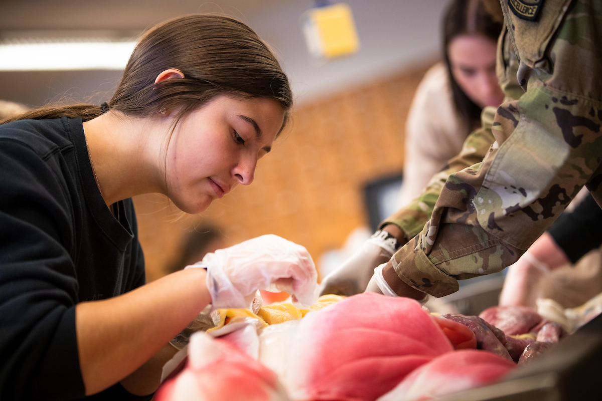 Student works with synthetic cadaver